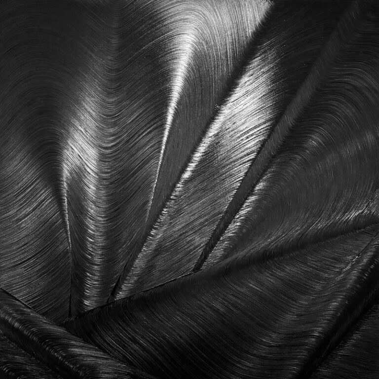 Artiste Ad Galerie Montpellier